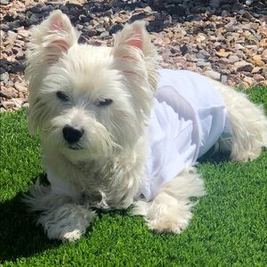 Meet your Posher, Scott